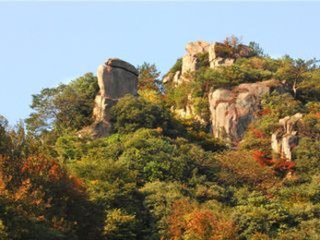 過廣德宿開元寺上人房