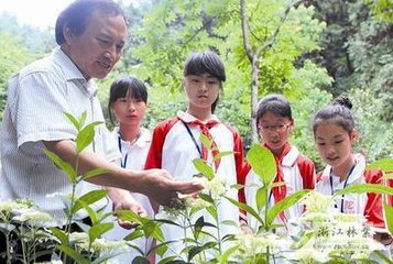 滿江紅（壽鄧法，六月八日生）