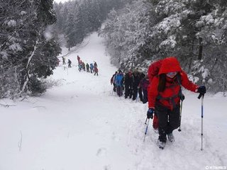 被旨暫攝四明已具舟而雪作王誠(chéng)之有詩(shī)相餞次