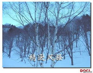 漢老弟寄示雪詩(shī)倡和已成軸矣因次韻