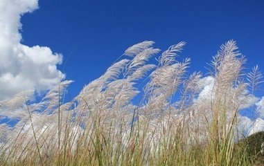 浪淘沙·窈窕繡幃深