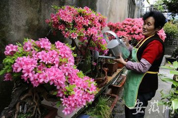 西村老人隱居