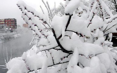 和答郭監(jiān)簿詠雪