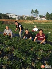 書法華寺上方禪壁