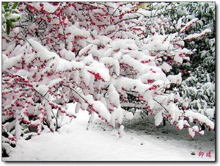 繼韻耿時舉寄示往歲梅雪