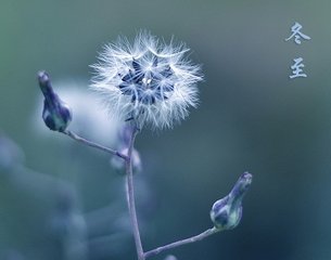 驀山溪（和人冬至韻）