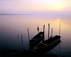 雨中花令（初夏遠(yuǎn)思）