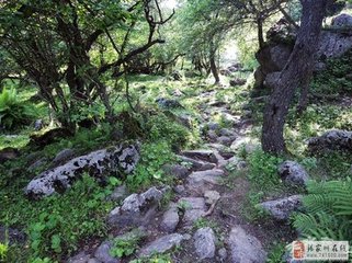 馬鞍驛飯罷縱步