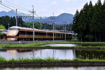 初夏同王應(yīng)鳳佘日章汪以仁以敬過佘子玉園居