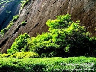 送沈鍊師歸武夷