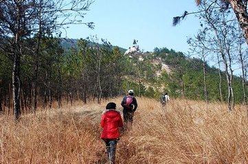 春日送麗處士歸龍山