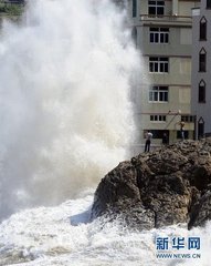 梅花十絕答石塘二林