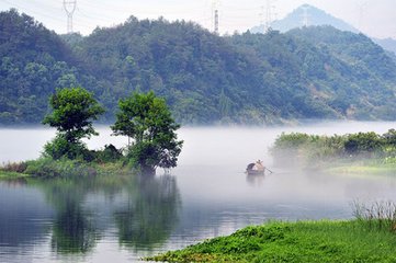 淇澳青青水一灣