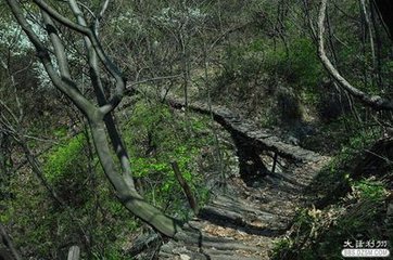 利州登棧道