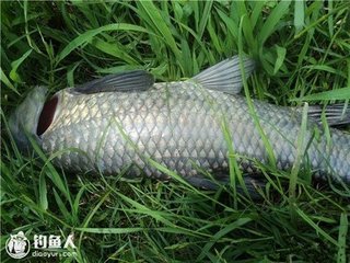 摸魚兒（和中齊端午韻）