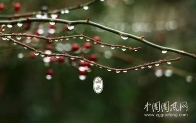 朝中措·晴煙漠漠日暉暉