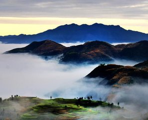 以景結情