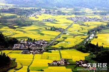 春日齋居漫興（二首）