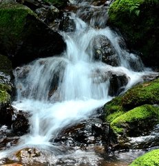 魯直惠洮河綠石研冰壺次韻