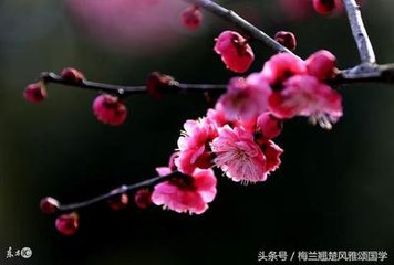 菩薩蠻·高樓目斷南來(lái)翼