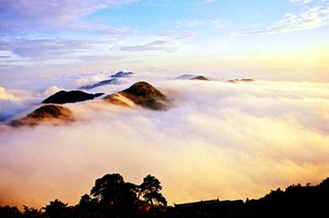 送僧歸南岳