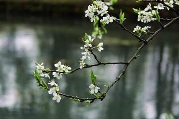 雨中花令·休把身心撋就