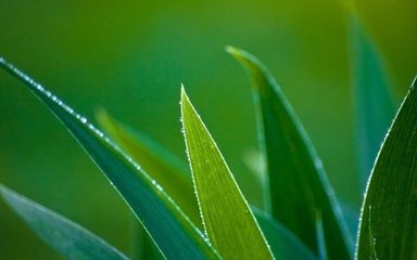 夏日題岫禪師房