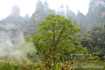 二日雨