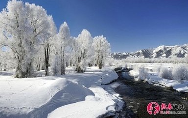 詠冬詩