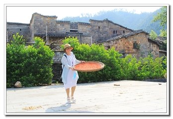 去年五月十七廬山禱而雨嘗有詩今年五月十七