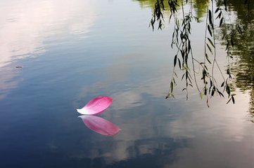 鷓鴣天 春暮