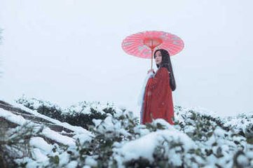 憶秦娥·花似雪