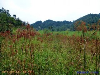 寄淳安括田省賈都事