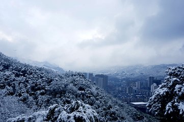 喜雪貽仲咸