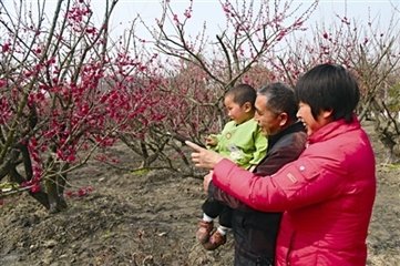 次天全翁雪湖賞梅（四首）