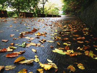 九月十六日游南內(nèi)值大風(fēng)雨歸而雪滿西岫矣