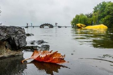 家僮歸得王慶長消息知留浙中秋舉