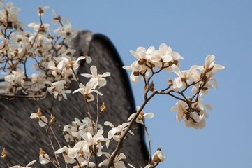 新市雜詠十首