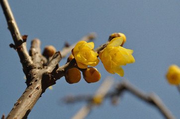 頤和園詞