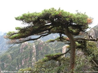 登駝巘嶺