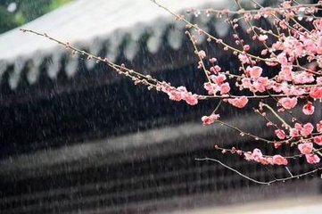 朝中措·蕭蕭蘆葉暮寒生