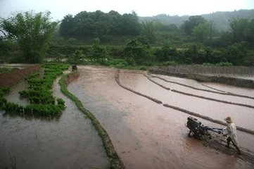 雨中書事