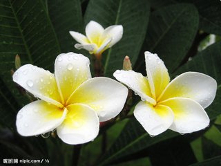 雨中花慢·痛飲狂歌