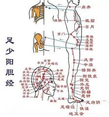 手足陽明少陽脈動(dòng)發(fā)喉