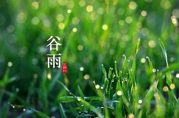 其日雨聞姚黃開戲成詩二章呈子駿堯夫