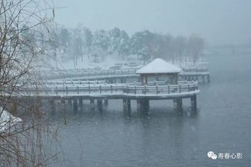 臨清大雪