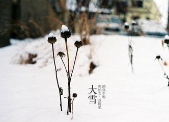 題南屏對雪圖