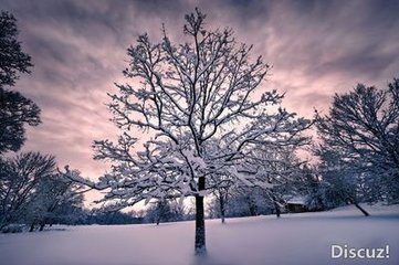 永遇樂（玩雪）