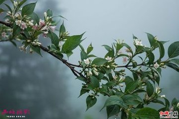 常寧縣訪許介之途中即景