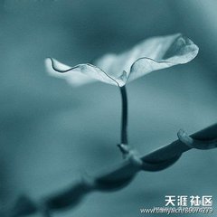 南歌子·麥隴深初轉(zhuǎn)